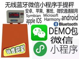 微信小程序便攜手提電子秤 藍(lán)牙無(wú)線低功率電子稱(chēng)