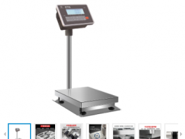 臺(tái)灣英展地面立桿秤TCS-W（SGTW)不銹鋼防水計(jì)重電子臺(tái)秤